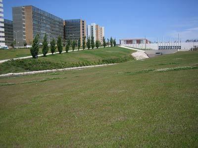 Cardoso Pires 2 Bedrooms Apt. Лісабон Номер фото